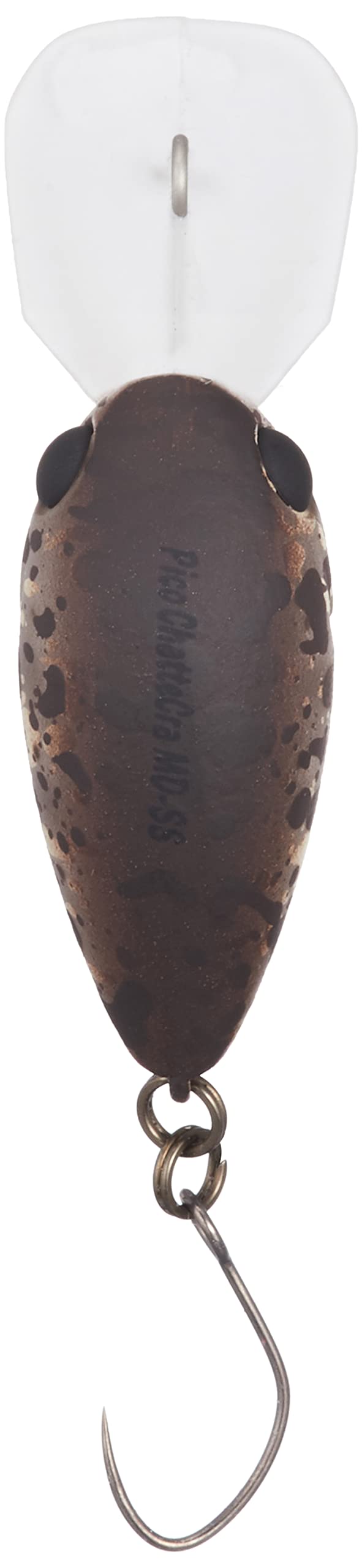 Amazon | ディスプラウト(Daysprout) ピコ・チャタクラMD-SS PP-04 PP